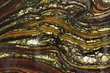 Polished Tiger Iron Stromatolite Slab - Billion Years #351883-1